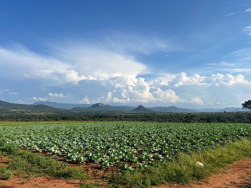 Exceptional 1,244 ha Multi-Purpose Farm | Water-Rich | Fertile Soils | 75 km from Polokwane - Photo 8