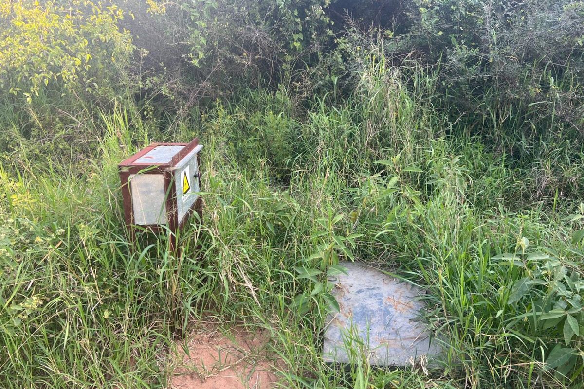 Exceptional 1,244 ha Multi-Purpose Farm | Water-Rich | Fertile Soils | 75 km from Polokwane - Photo 4
