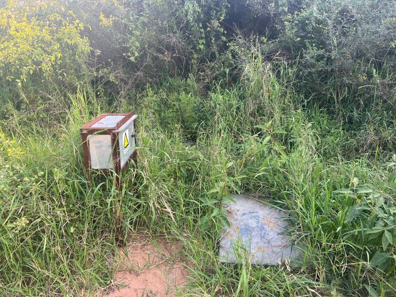 Exceptional 1,244 ha Multi-Purpose Farm | Water-Rich | Fertile Soils | 75 km from Polokwane - Photo 4