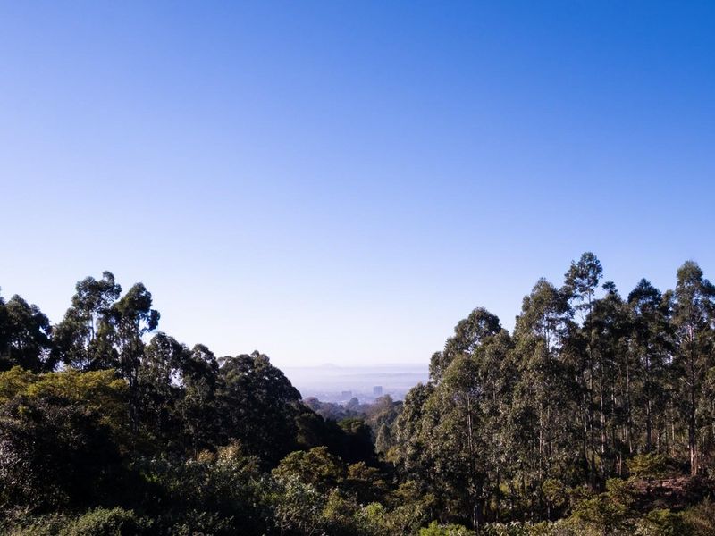 Lifestyle, Space and Income Potential - Perfectly Positioned Between Hilton and Pietermaritzburg - Photo 6