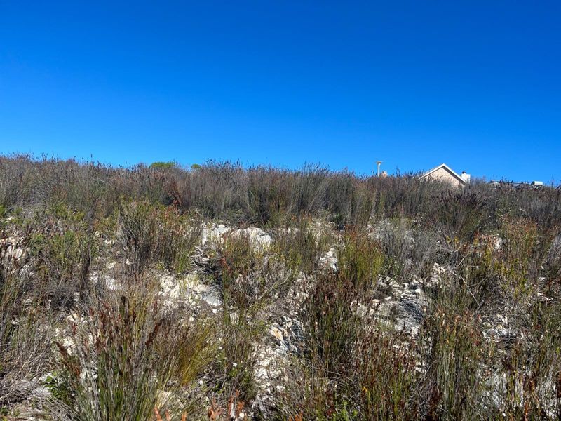 Prime Vacant Stand - Build the Home You've Always Dreamed of - Photo 7