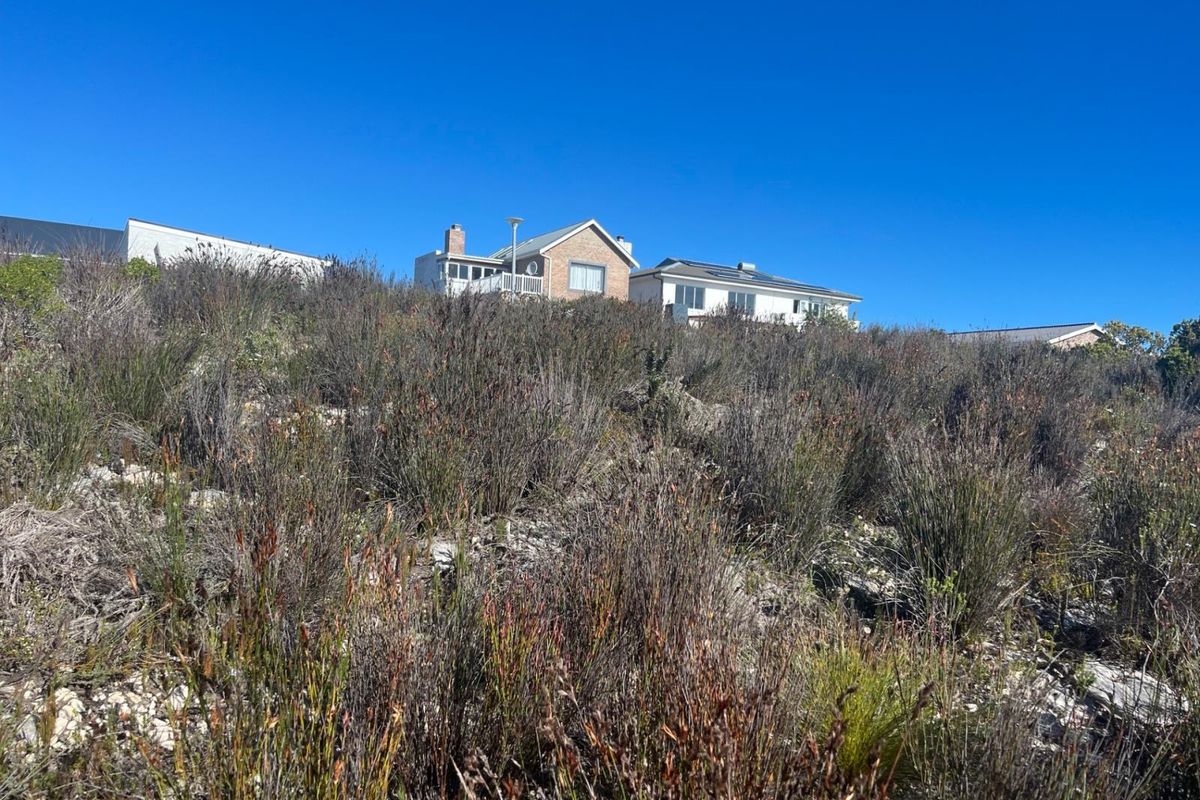 Prime Vacant Stand - Build the Home You've Always Dreamed of - Photo 4