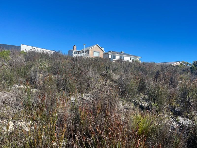 Prime Vacant Stand - Build the Home You've Always Dreamed of - Photo 4