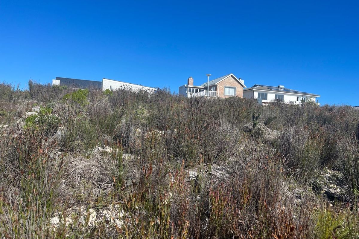 Prime Vacant Stand - Build the Home You've Always Dreamed of - Photo 3