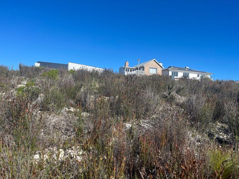 Prime Vacant Stand - Build the Home You've Always Dreamed of - Photo 3