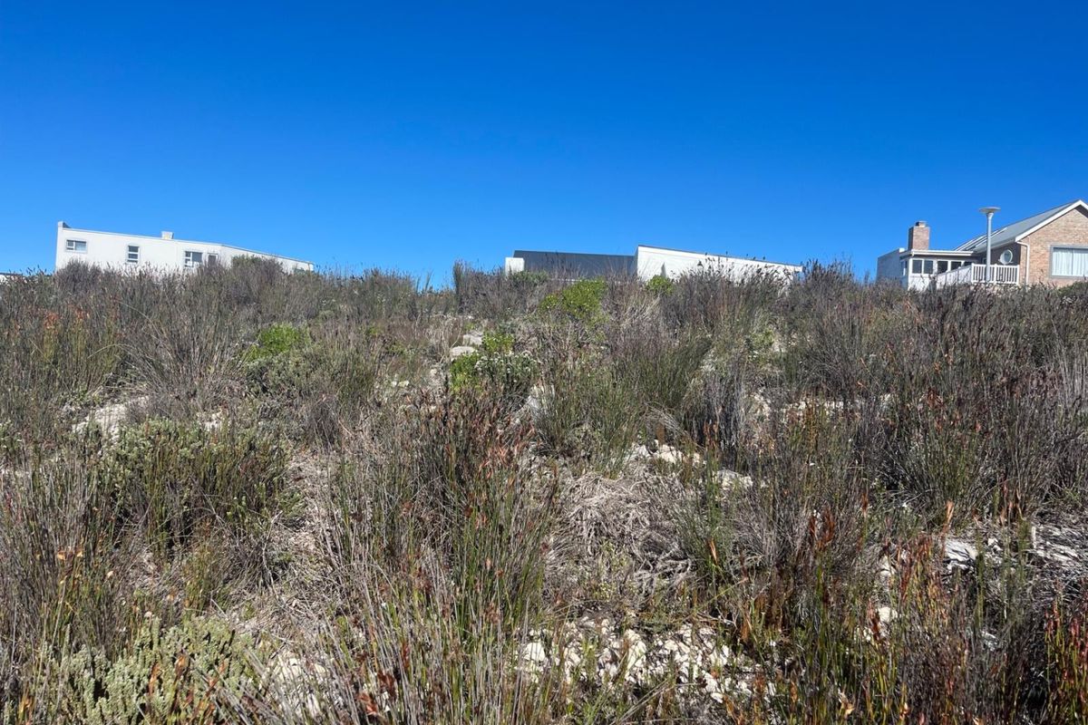 Prime Vacant Stand - Build the Home You've Always Dreamed of - Photo 2