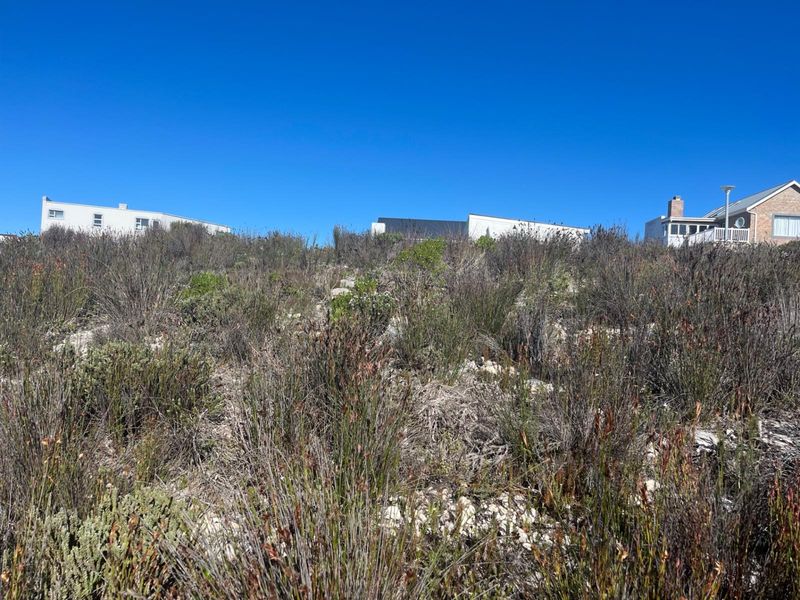 Prime Vacant Stand - Build the Home You've Always Dreamed of - Photo 2