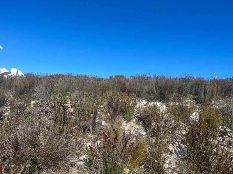 Prime Vacant Stand - Build the Home You've Always Dreamed of - Photo 6