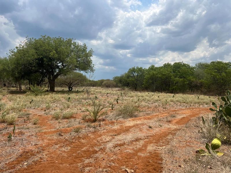 578 ha Income-Generating Game Farm with Accommodation, Agriculture and Expansion Potential - Photo 1