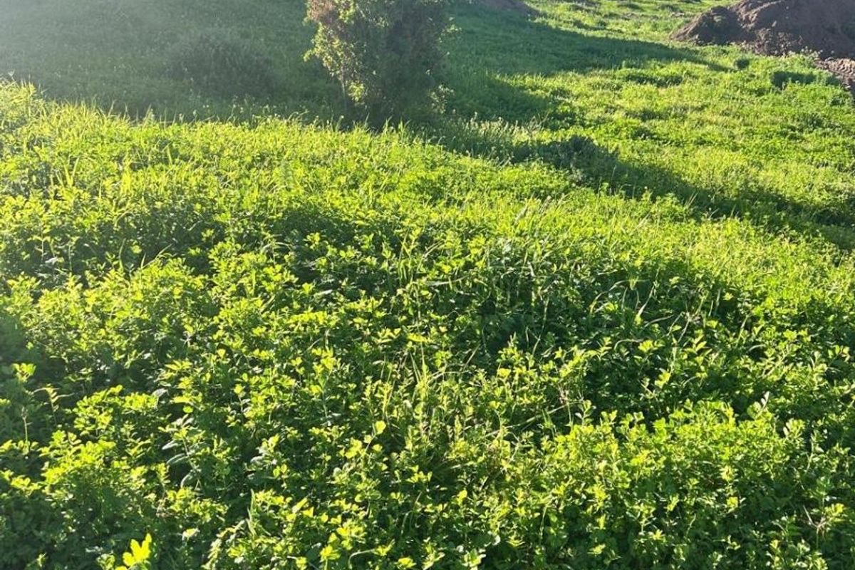 Design Your Own Horizon | Premium Vacant Land in Welgedaan Estate - Photo 2