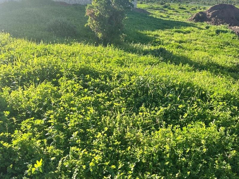 Design Your Own Horizon | Premium Vacant Land in Welgedaan Estate - Photo 2