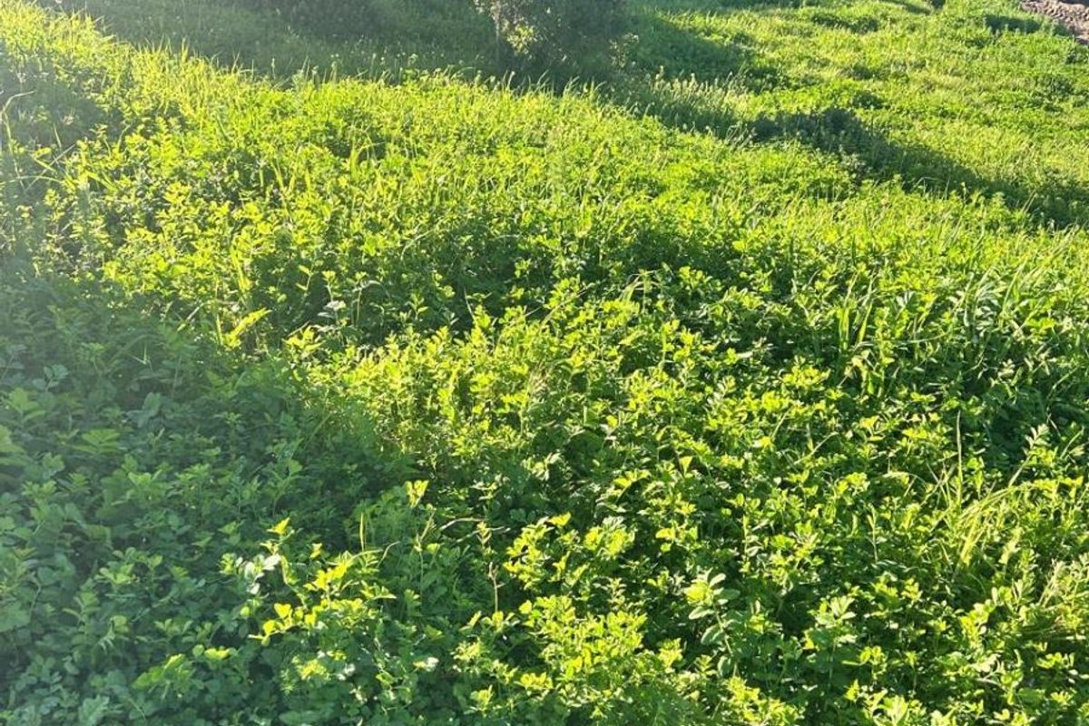 Design Your Own Horizon | Premium Vacant Land in Welgedaan Estate - Photo 4