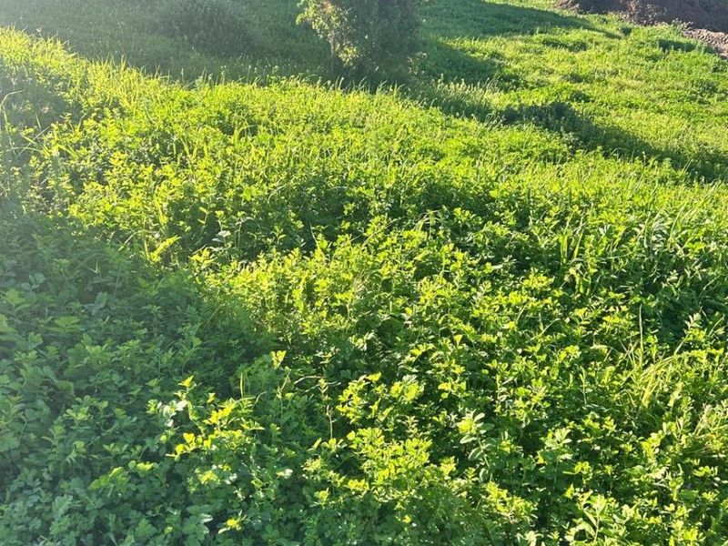 Design Your Own Horizon | Premium Vacant Land in Welgedaan Estate - Photo 4