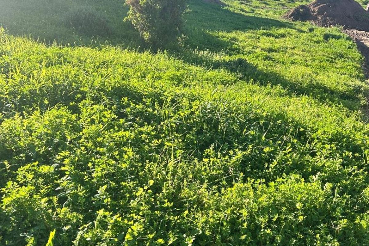 Design Your Own Horizon | Premium Vacant Land in Welgedaan Estate - Photo 3