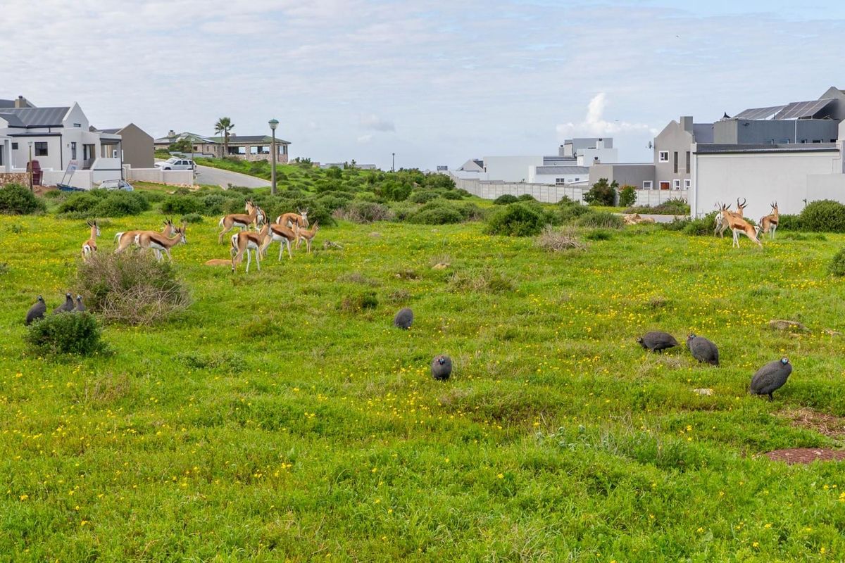 A vacant residential plot featuring natural vegetation and local wildlife, situated within a developed estate with surrounding modern residential properties.