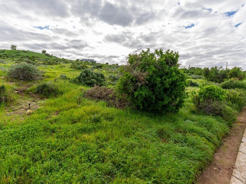670m2 Vacant Plot for Sale in Hoogland Estate, Saldanha Bay - Photo 5