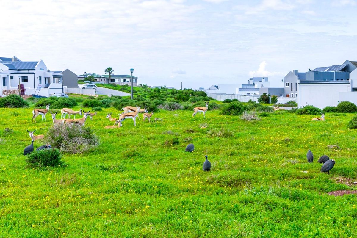 A view of a vacant residential plot featuring natural vegetation and surrounding modern housing developments.