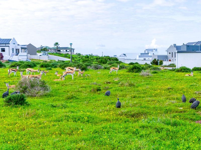 Large 853m2 Vacant Plot for Sale in Hoogland Estate, Saldanha Bay - Photo 1