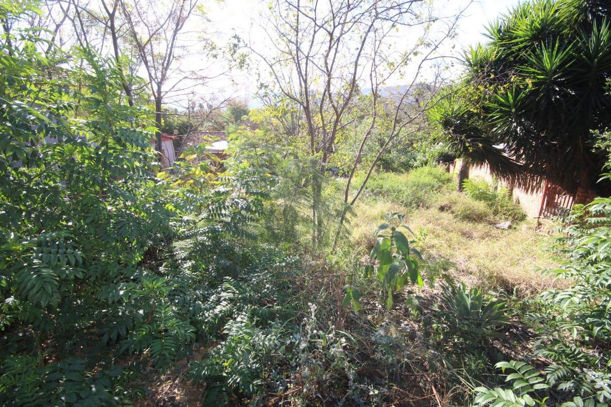 Blank Canvas: 657m2 Vacant Stand in the Heart of Pretoria Gardens - Photo 2