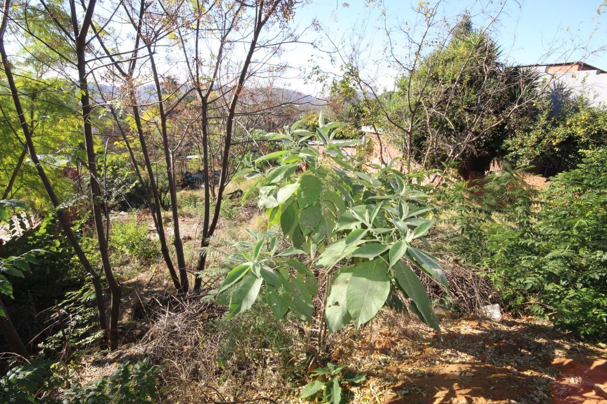 Blank Canvas: 657m2 Vacant Stand in the Heart of Pretoria Gardens - Photo 5