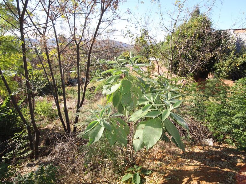 Blank Canvas: 657m2 Vacant Stand in the Heart of Pretoria Gardens - Photo 5