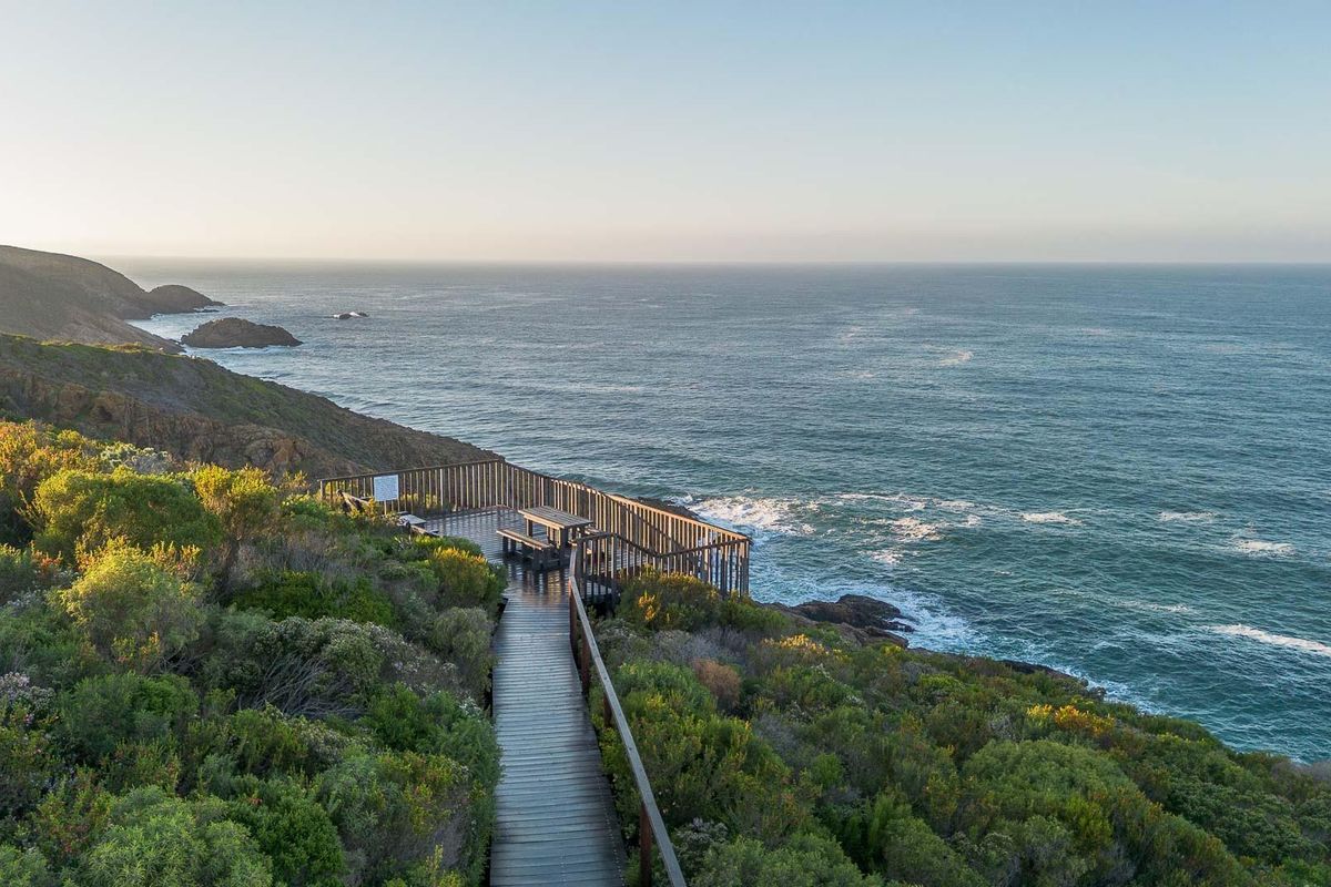 A scenic elevated timber boardwalk and viewing deck overlooking the ocean and rugged coastline.
