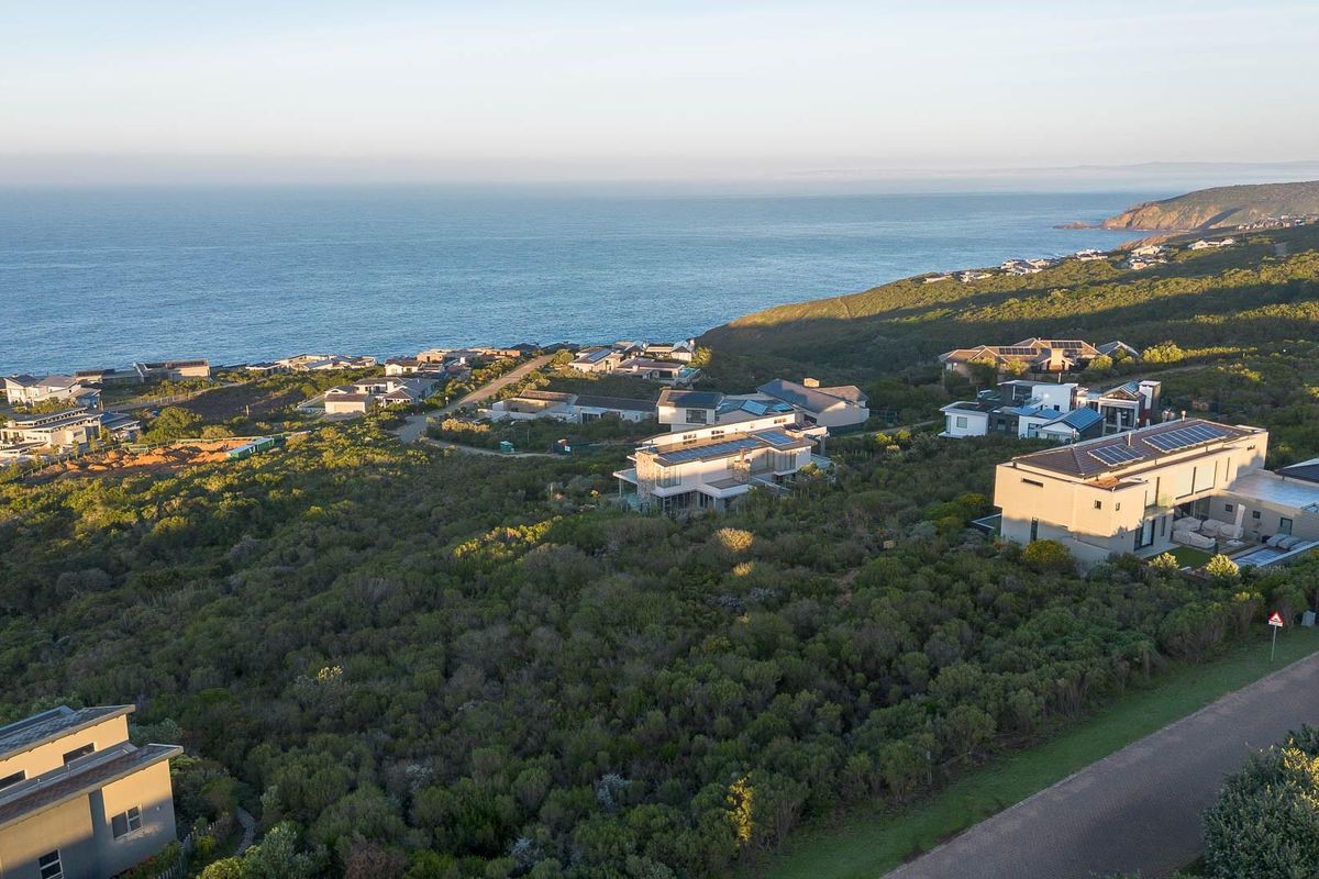 An aerial view of a coastal residential estate featuring modern homes nestled within natural vegetation overlooking the ocean.