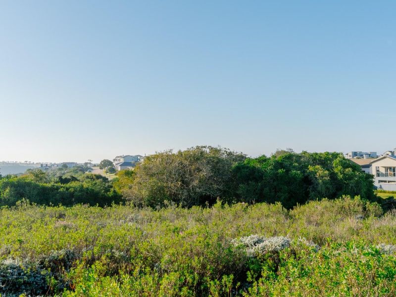 Prime Vacant Stand for Sale in Oubaai Golf Estate - Cul-de-Sac with Valley Views - Photo 10