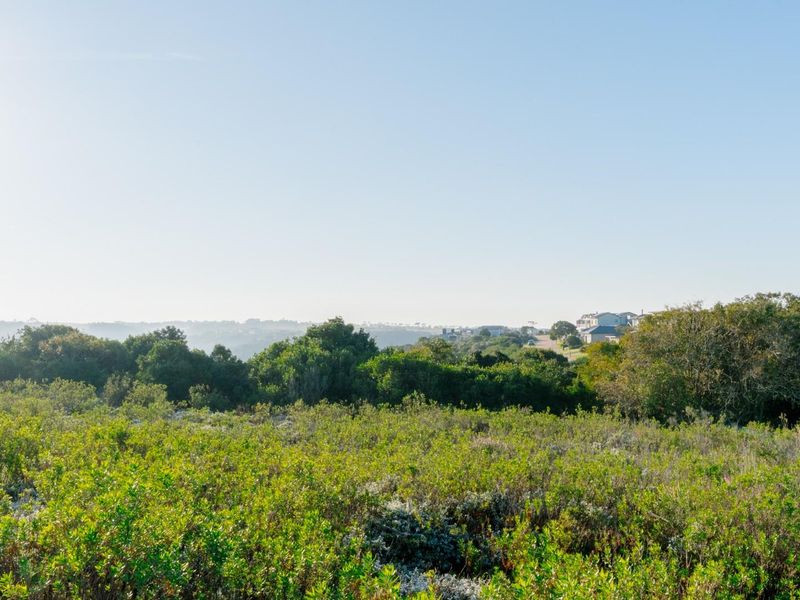 Prime Vacant Stand for Sale in Oubaai Golf Estate - Cul-de-Sac with Valley Views - Photo 8