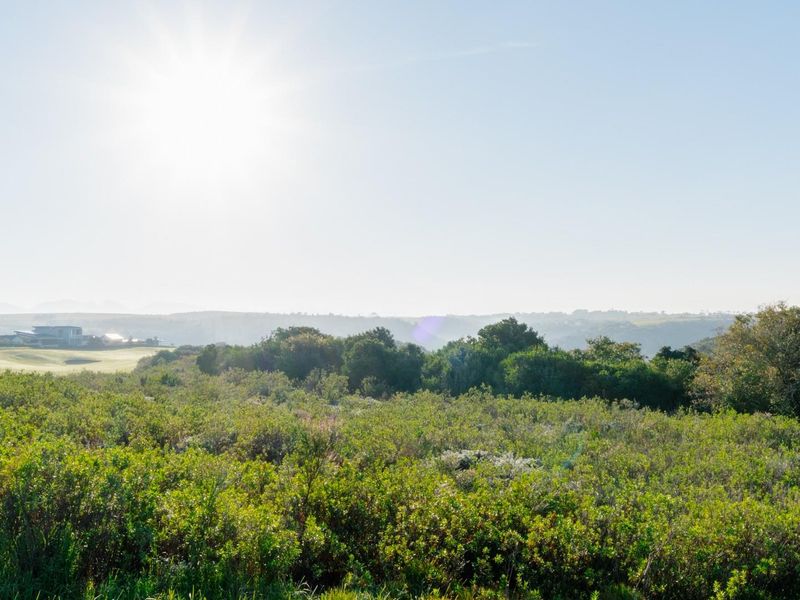 Prime Vacant Stand for Sale in Oubaai Golf Estate - Cul-de-Sac with Valley Views - Photo 7