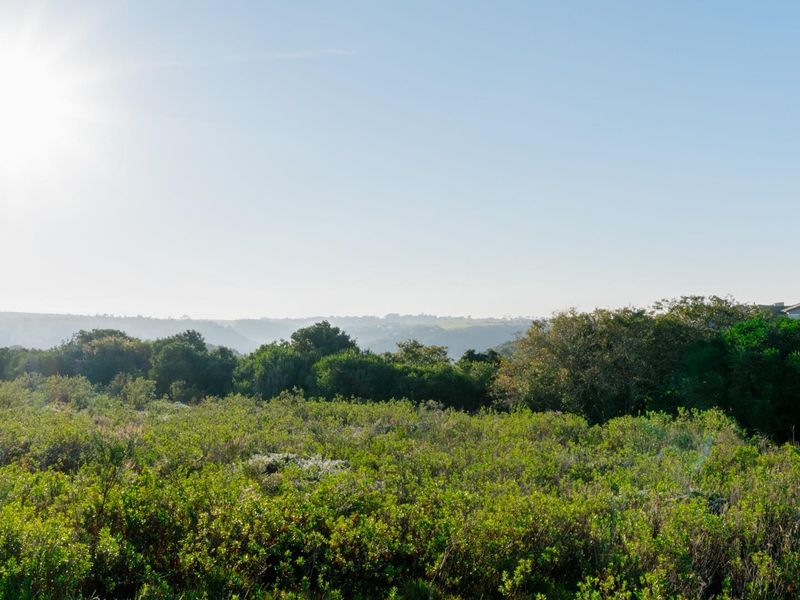 Prime Vacant Stand for Sale in Oubaai Golf Estate - Cul-de-Sac with Valley Views - Photo 6