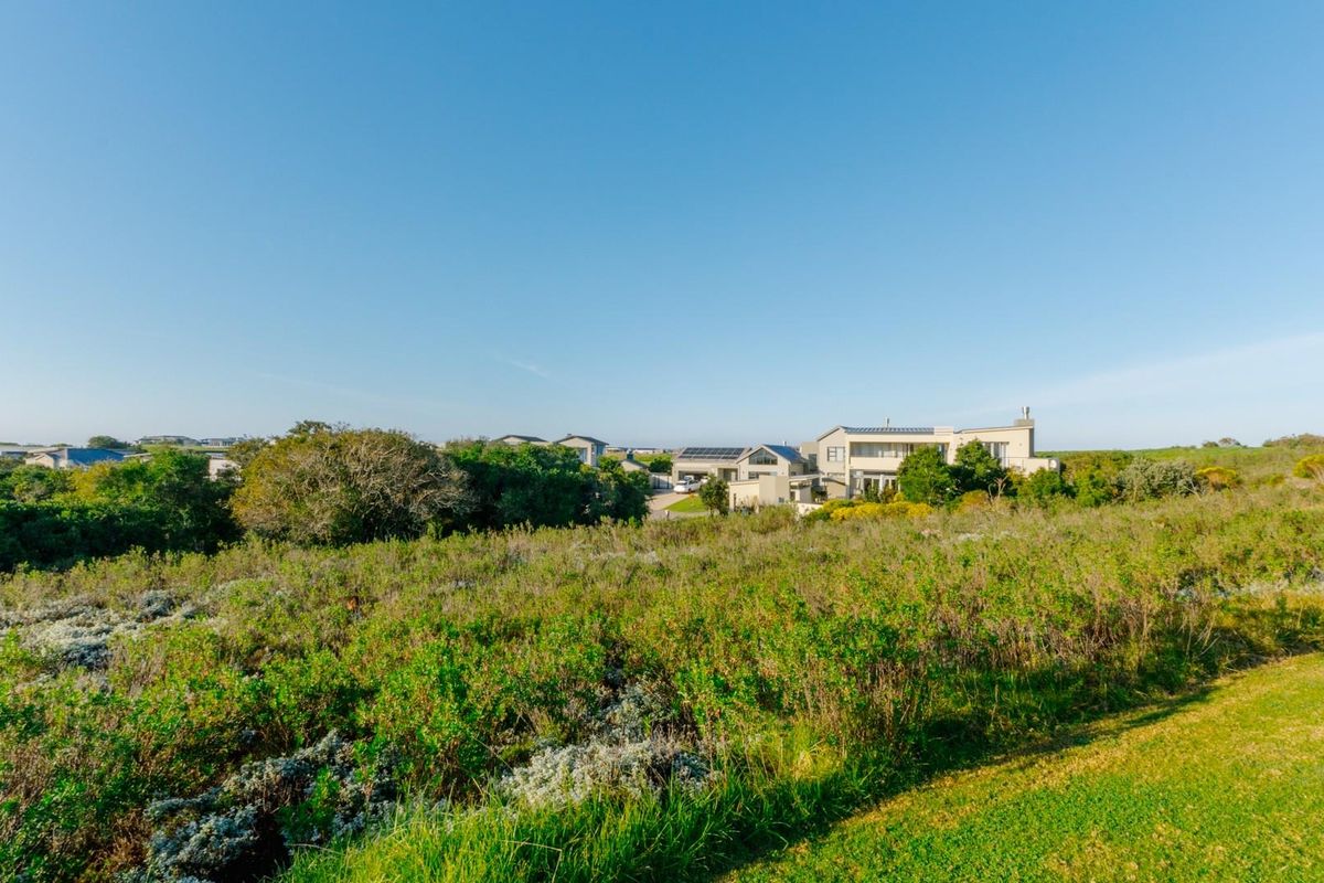 A view of a vacant residential plot featuring natural coastal vegetation with established homes visible in the background.