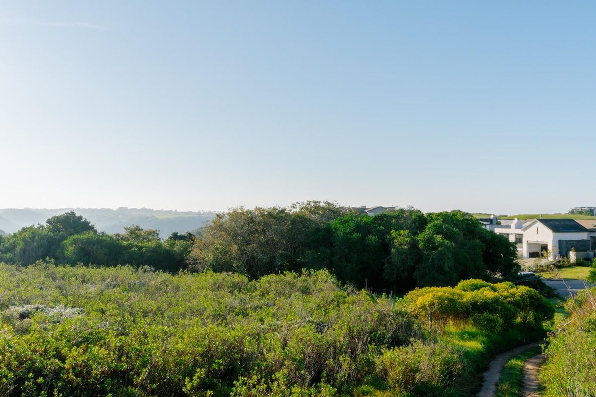 A scenic view of the natural landscape and native vegetation surrounding the residential property.