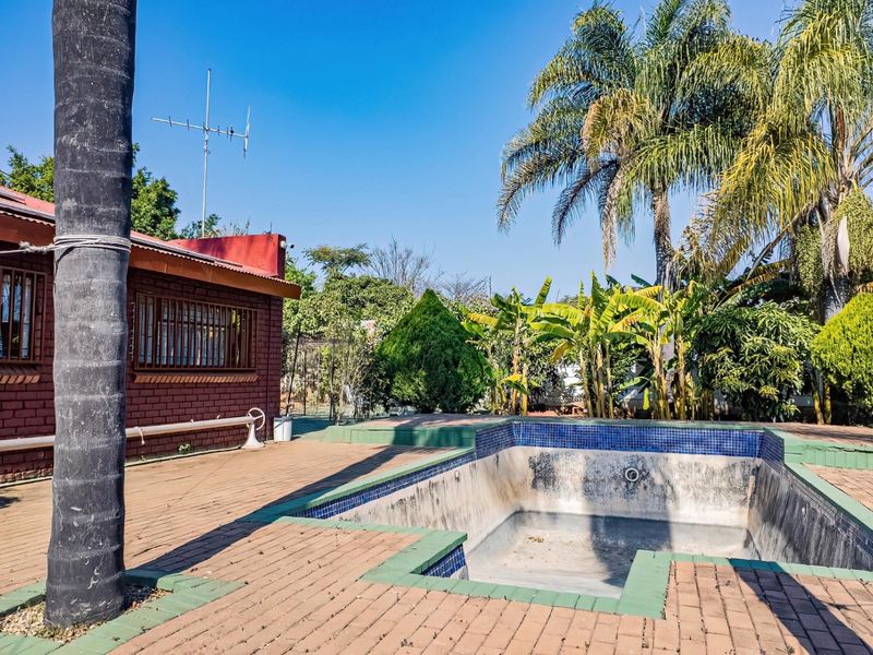 Outdoor pool area featuring a brick-paved deck and an empty swimming pool set against a landscaped garden with mature trees.