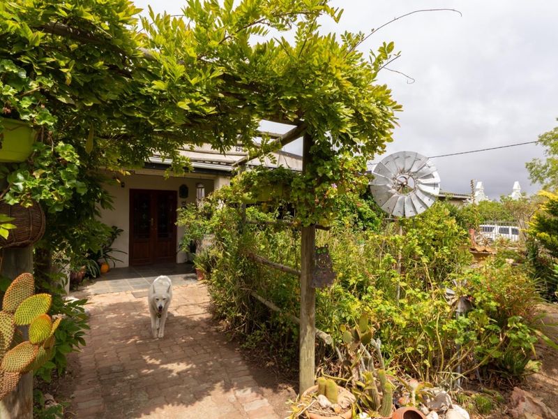 House Under Offer in Napier - Photo 4