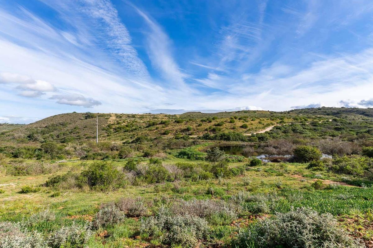 A scenic view of the natural landscape featuring rolling hills, native vegetation, and a small pond on the vacant residential land.