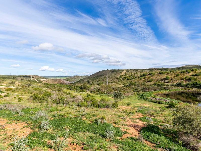 Prime Dam-View Stand in Outeniquasbosch Wildlife Estate - Photo 10