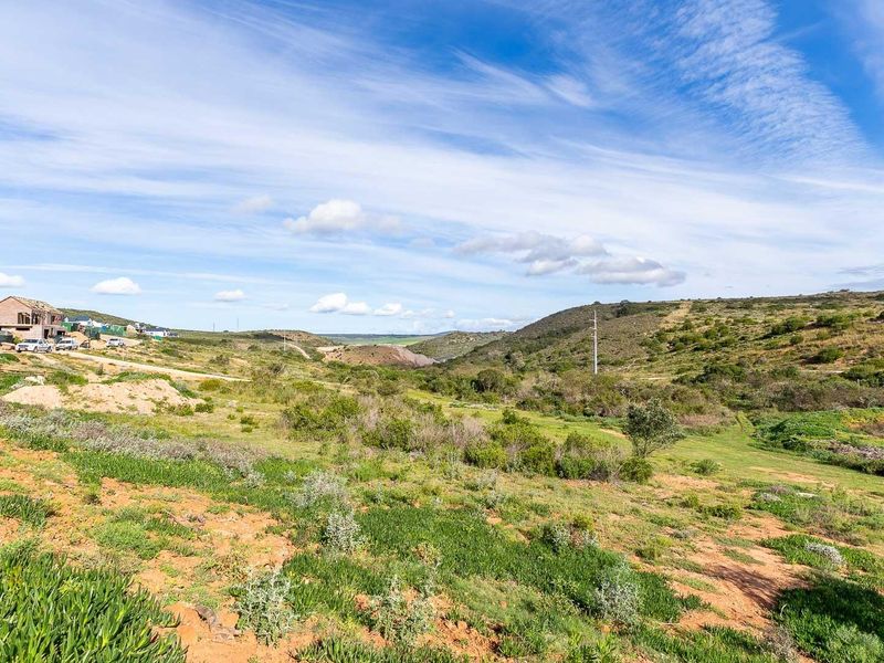 Prime Dam-View Stand in Outeniquasbosch Wildlife Estate - Photo 9
