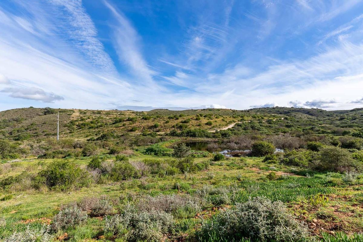 A scenic view of the natural landscape featuring rolling hills, native vegetation, and a small pond on the vacant residential land.