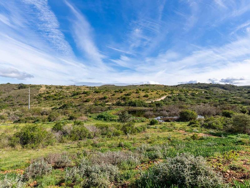 Prime Dam-View Stand in Outeniquasbosch Wildlife Estate - Photo 3