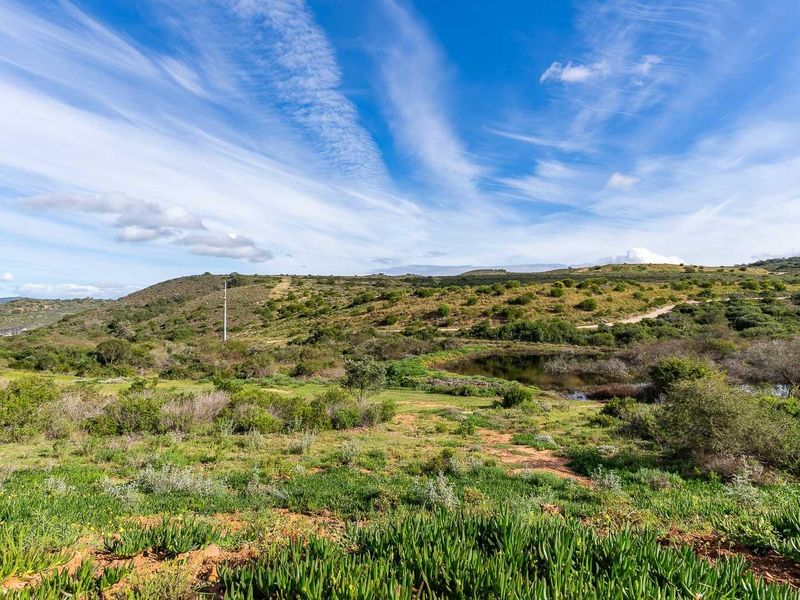 Prime Dam-View Stand in Outeniquasbosch Wildlife Estate - Photo 6