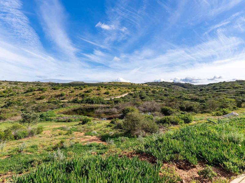 Prime Dam-View Stand in Outeniquasbosch Wildlife Estate - Photo 7