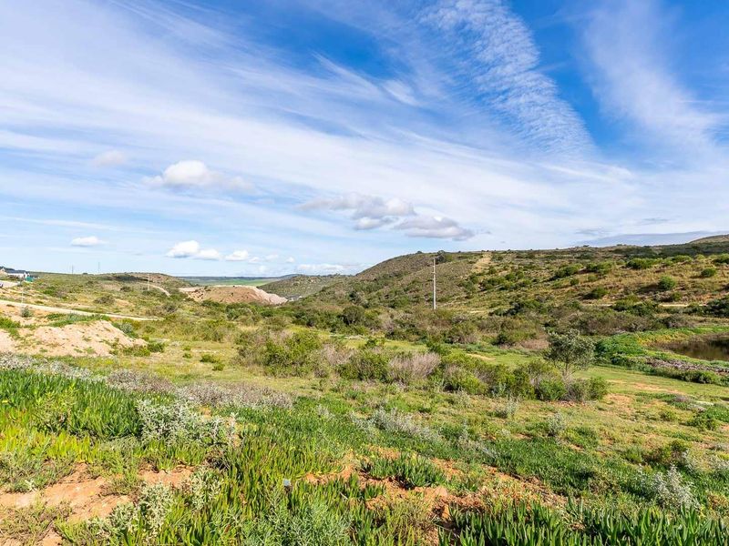 Prime Dam-View Stand in Outeniquasbosch Wildlife Estate - Photo 5