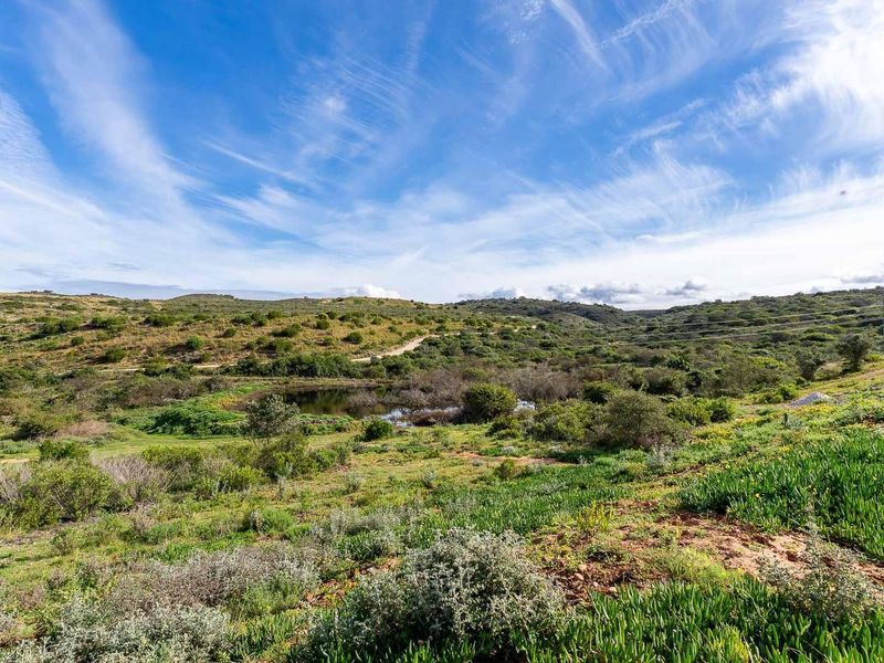 Prime Dam-View Stand in Outeniquasbosch Wildlife Estate - Photo 4