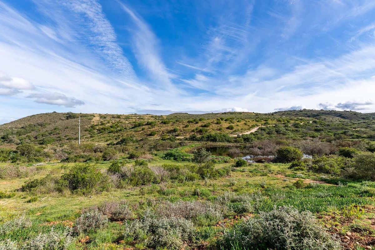 A scenic view of the vacant residential land featuring natural vegetation, rolling hills, and a small pond.