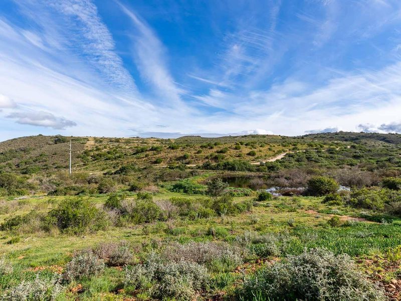 Prime Dam-View Stand in Outeniquasbosch Wildlife Estate - Photo 2