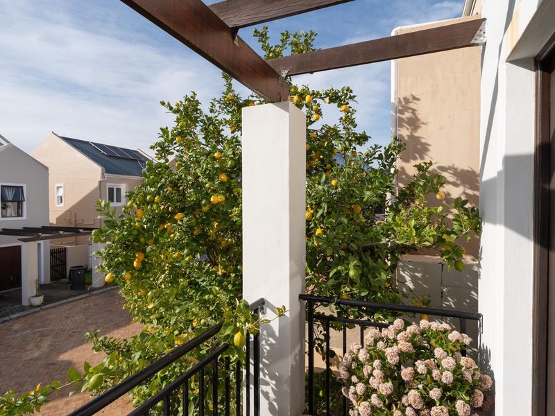 North facing 3 bedroom house for rent in Welgevonden Estate. - Photo 4