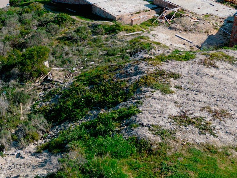 Aerial view of a vacant residential plot featuring native vegetation and the foundation of an unfinished brick structure.