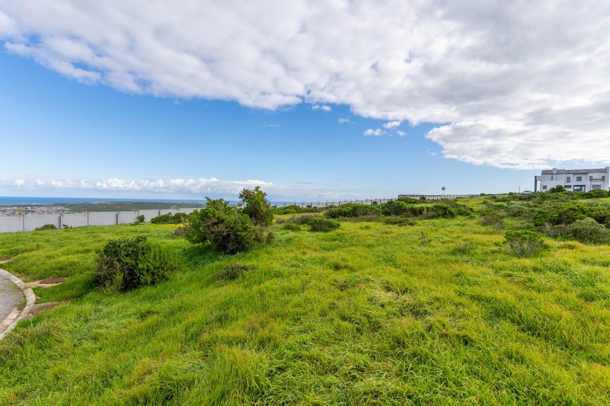 A vacant residential plot featuring natural grass coverage, boundary walling, and distant coastal views, offering a prime opportunity for development.