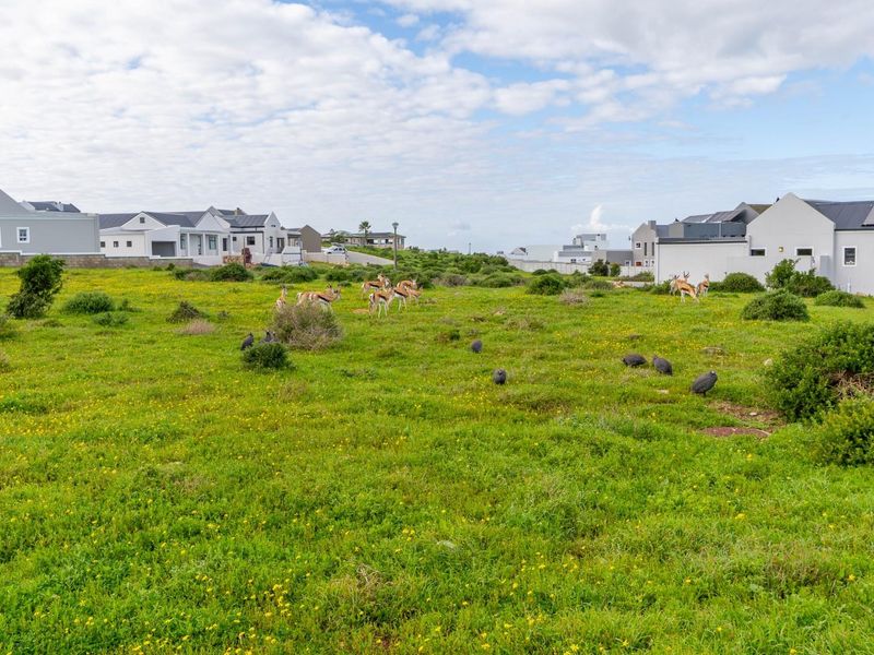 A wide-angle view of a vacant residential plot featuring natural grassland and surrounding modern residential homes.